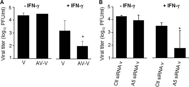 FIG 8