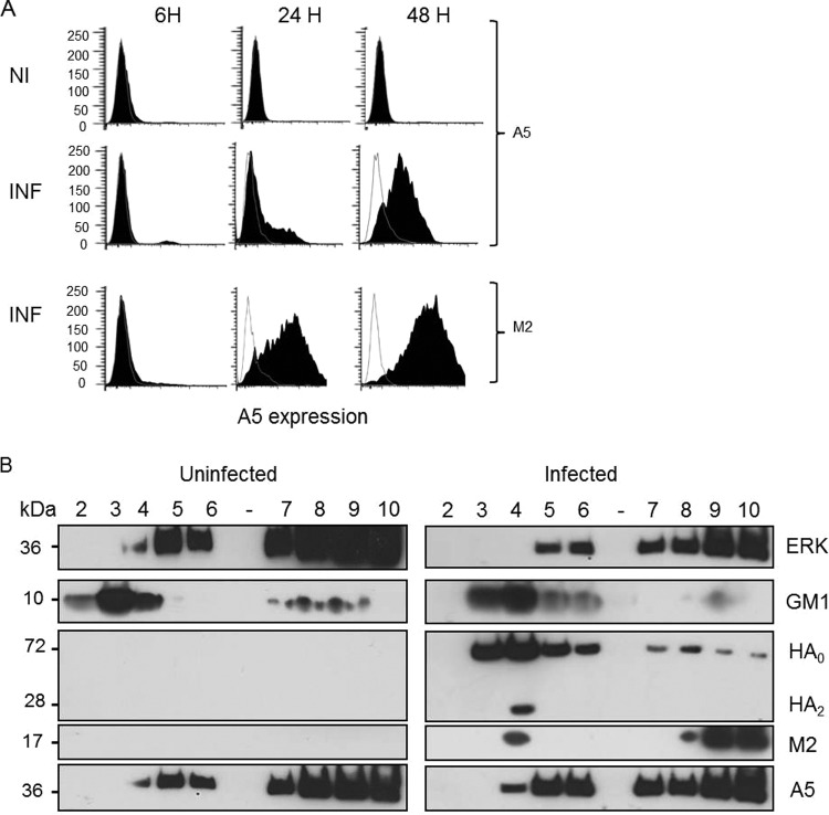 FIG 3