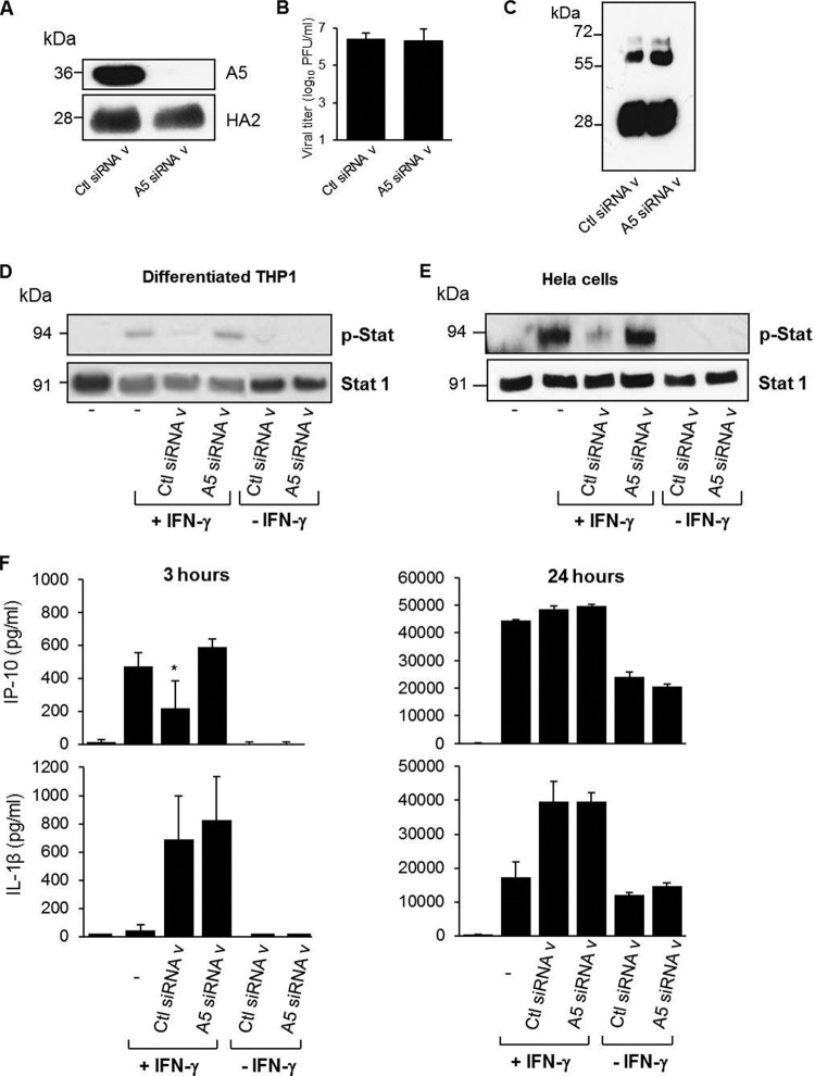 FIG 6