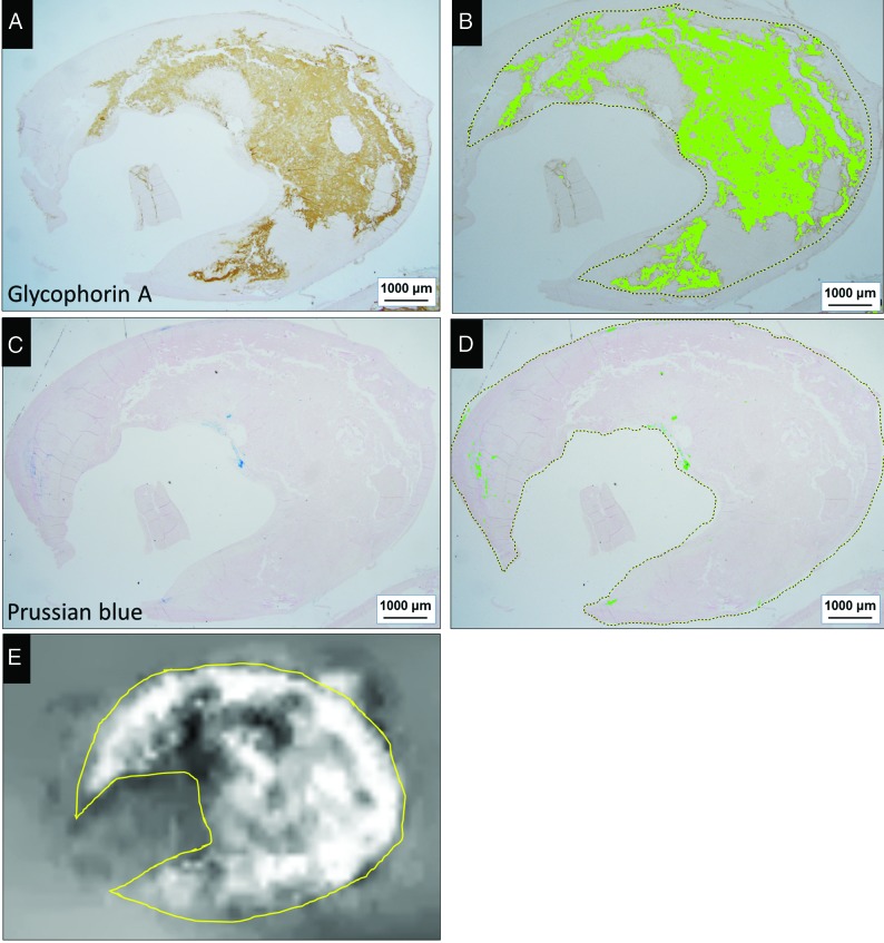 FIG 4.