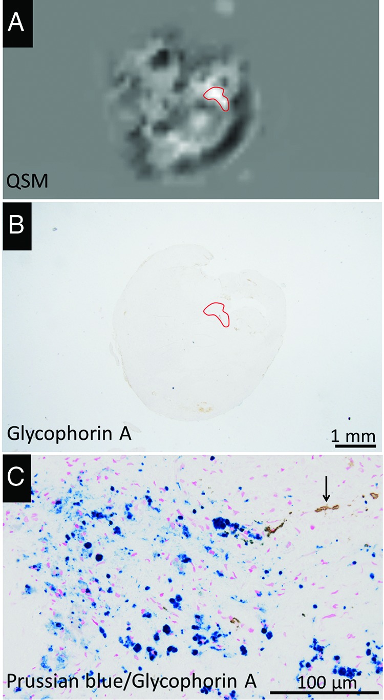 FIG 3.