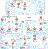 Figure 1 |