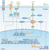 Figure 3 |