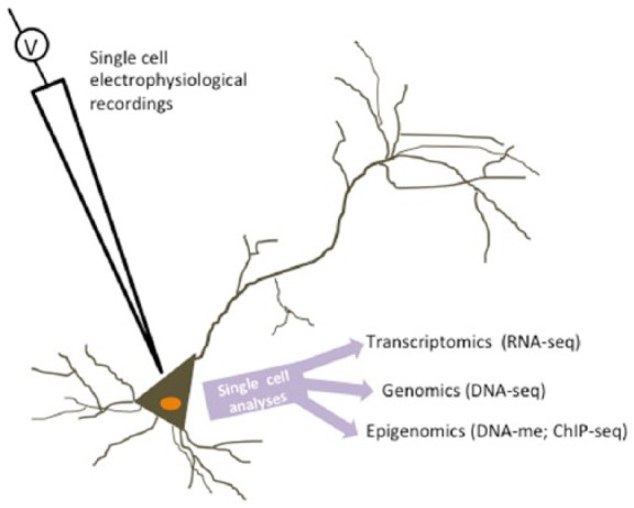 Figure 2.