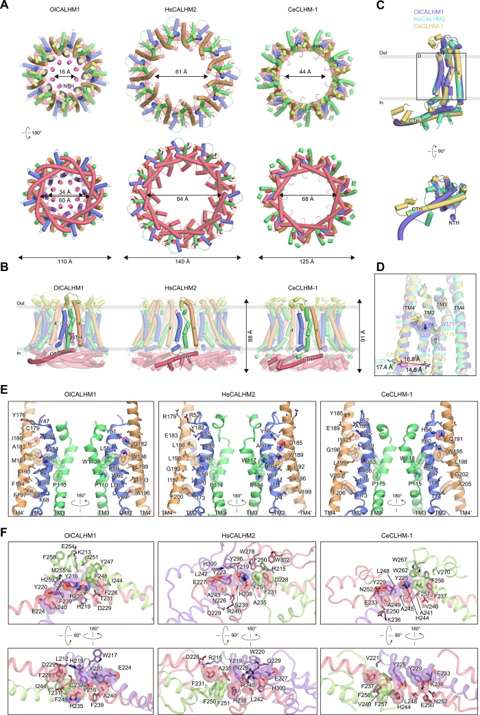 Fig. 4