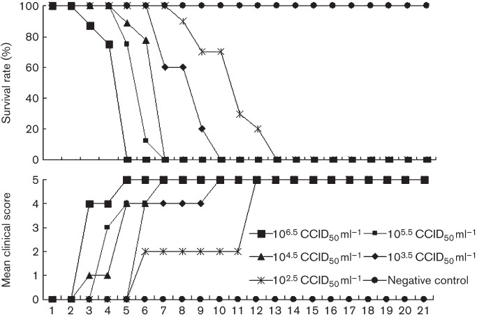 Fig. 1. 