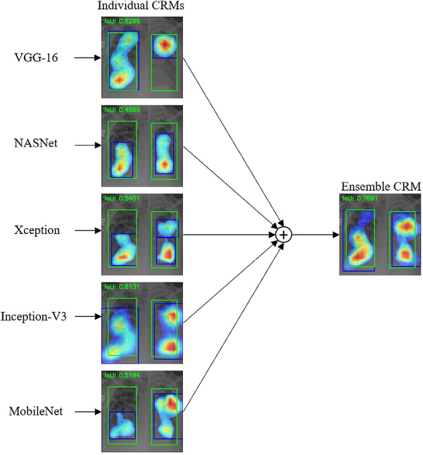 Figure 11