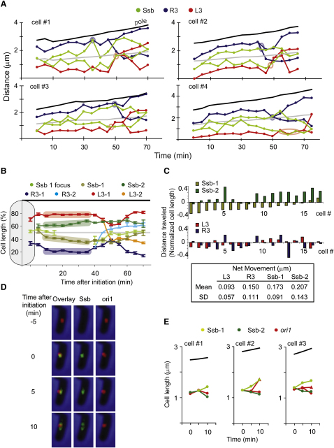 Figure 6