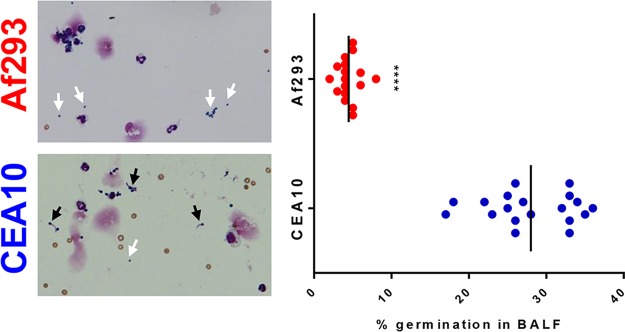 FIG 6