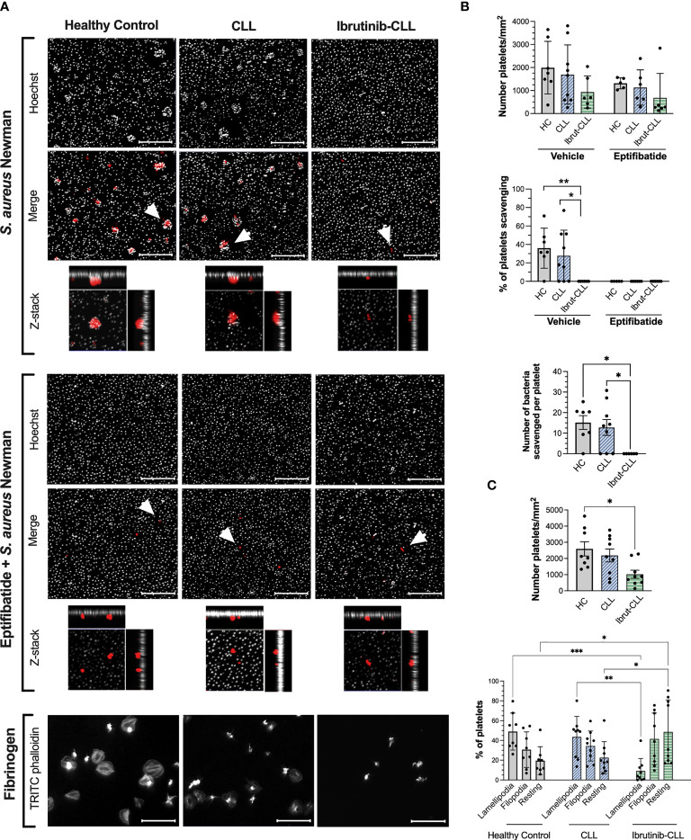 Figure 2