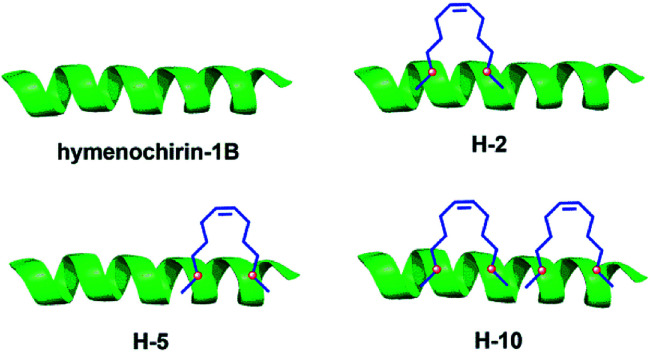 Fig. 4