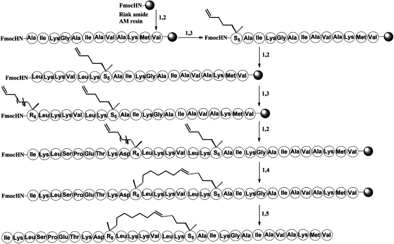 Scheme 1