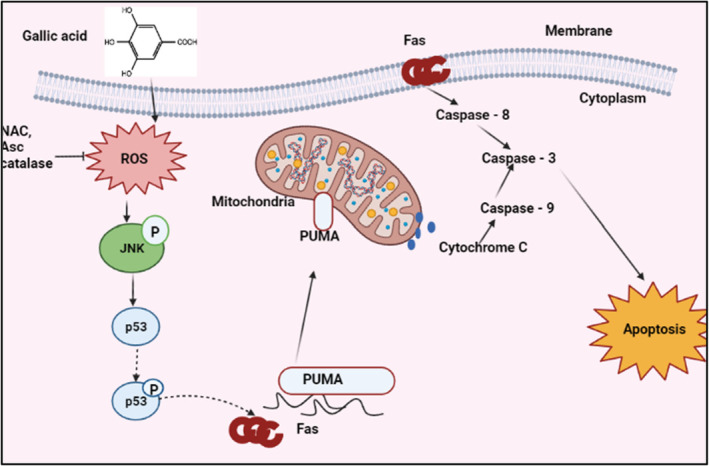 FIGURE 2