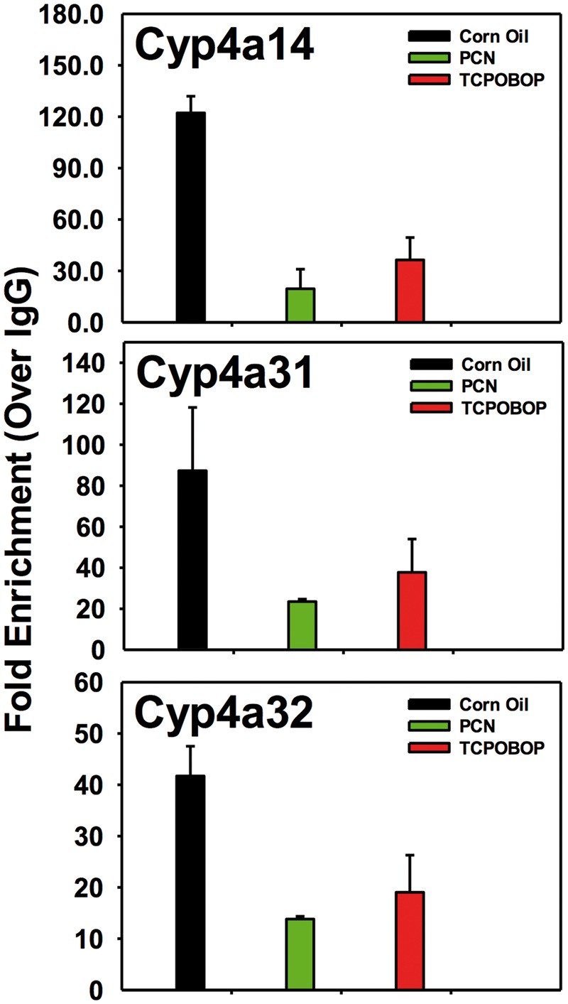 FIG. 7