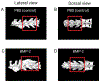 Figure 5: