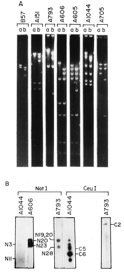 FIG. 3