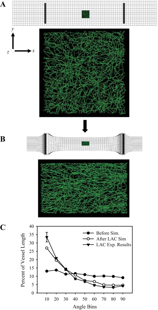 Fig. 10.