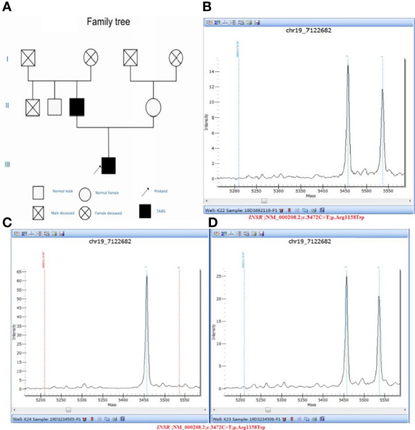 Figure 3