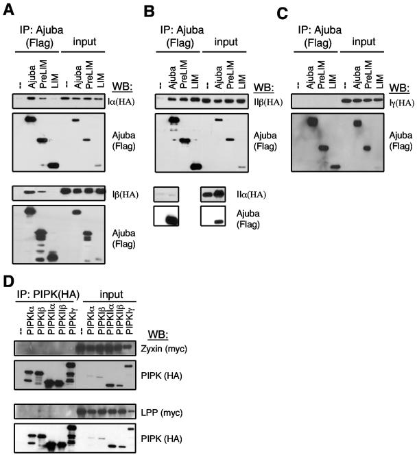 FIG. 1.