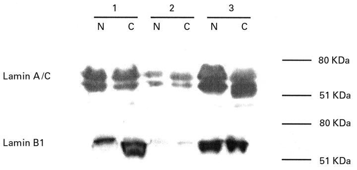 Figure 3  