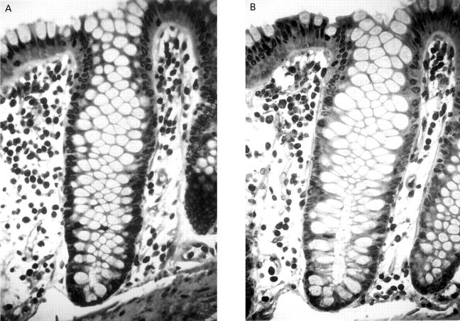 Figure 1  