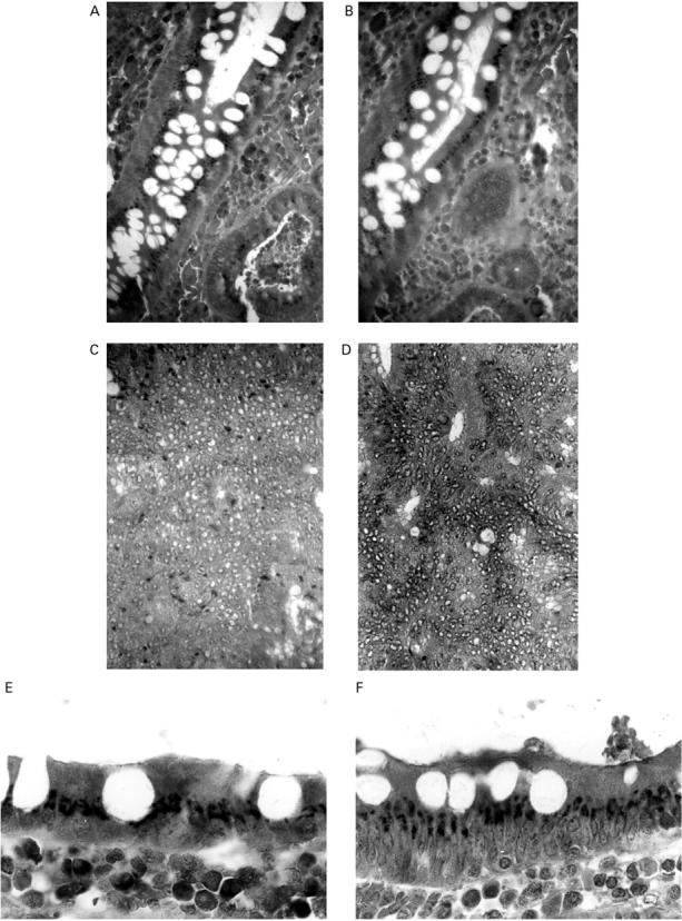 Figure 2  