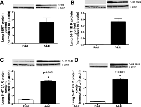 Fig. 9.