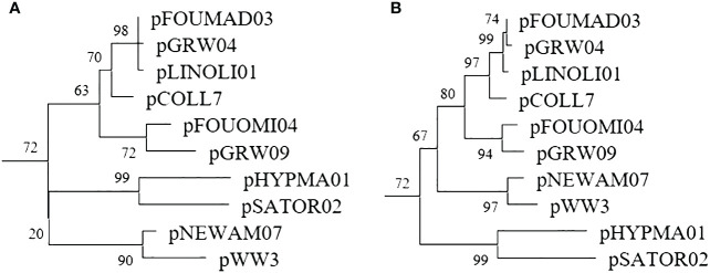 Figure 3