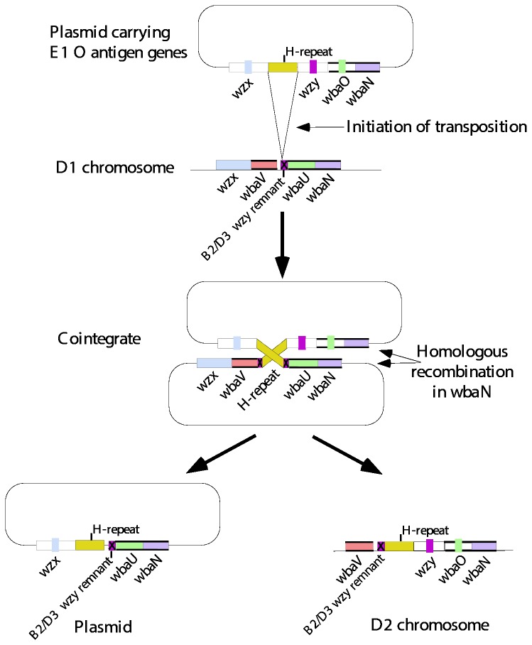 Figure 7