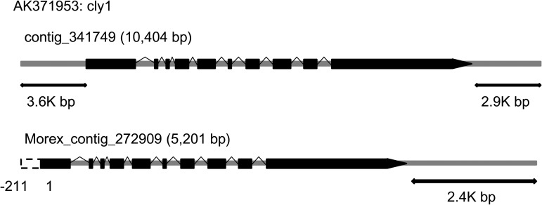 Figure 2.