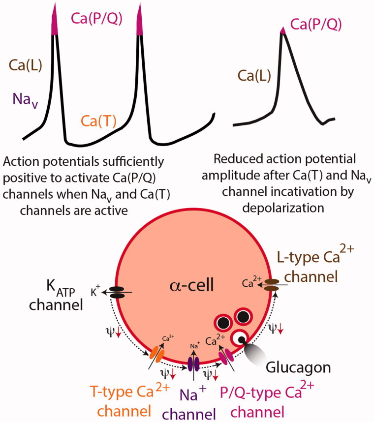 Figure 4.