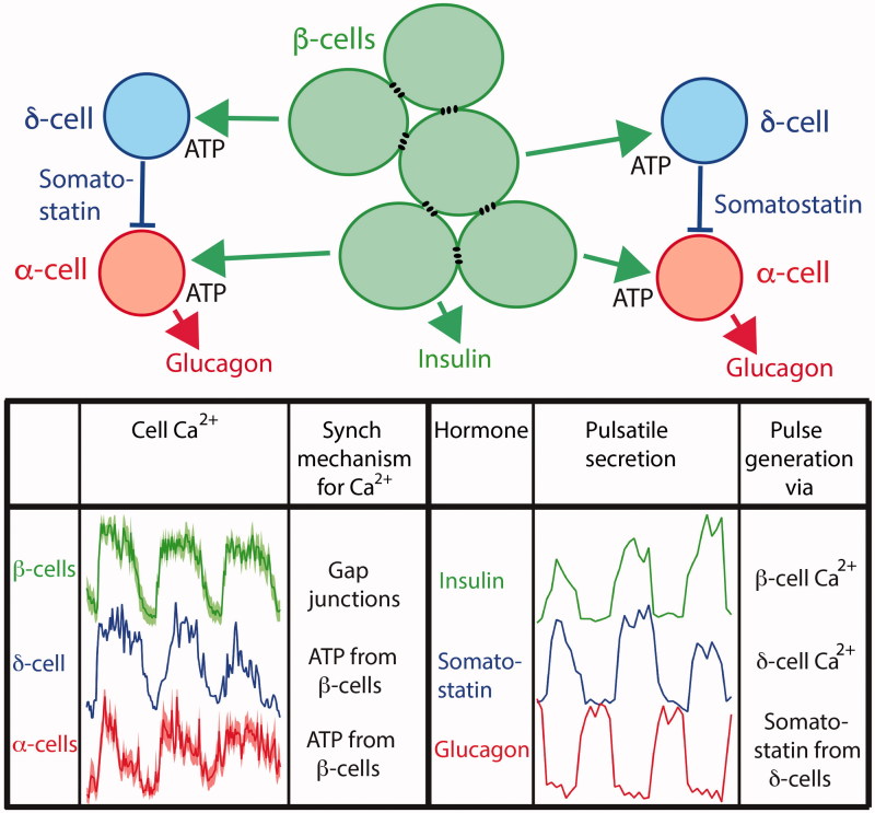 Figure 6.