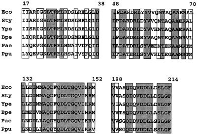 FIG. 7