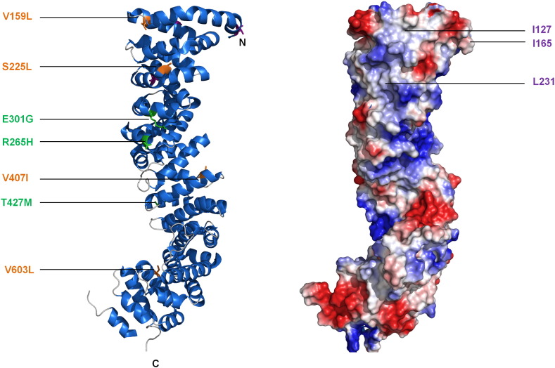 Fig. 3