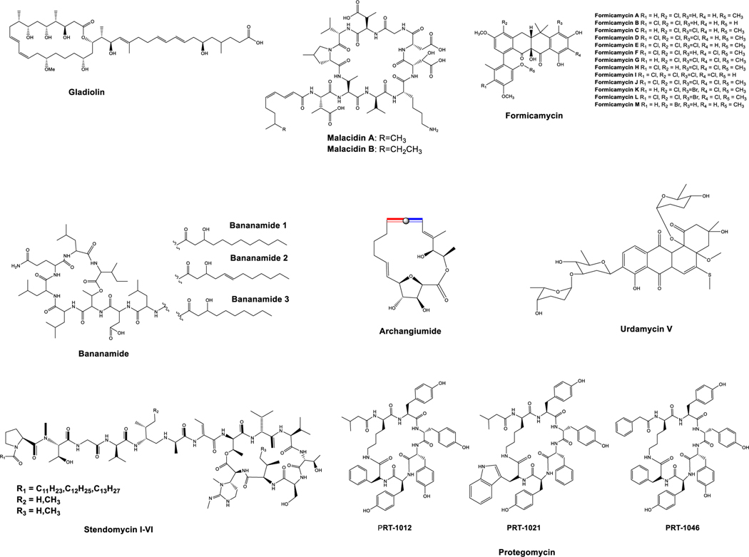 Figure 3: