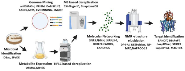 Figure 2: