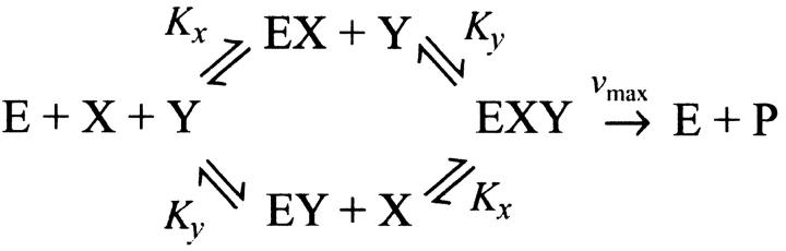 graphic file with name biophysj13110s01.jpg