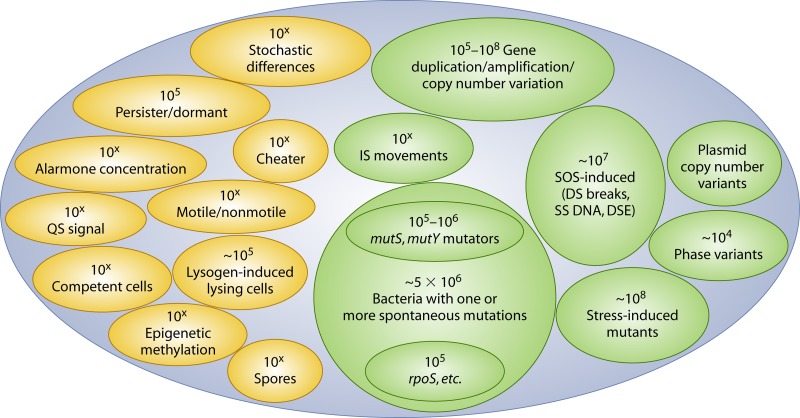 Fig 6