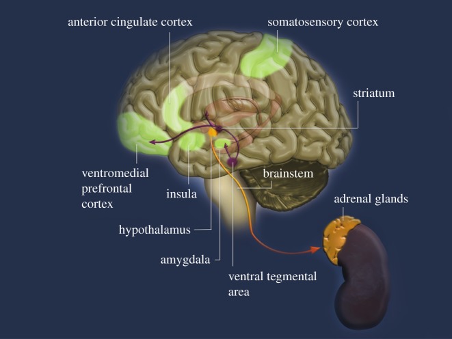 Figure 1.