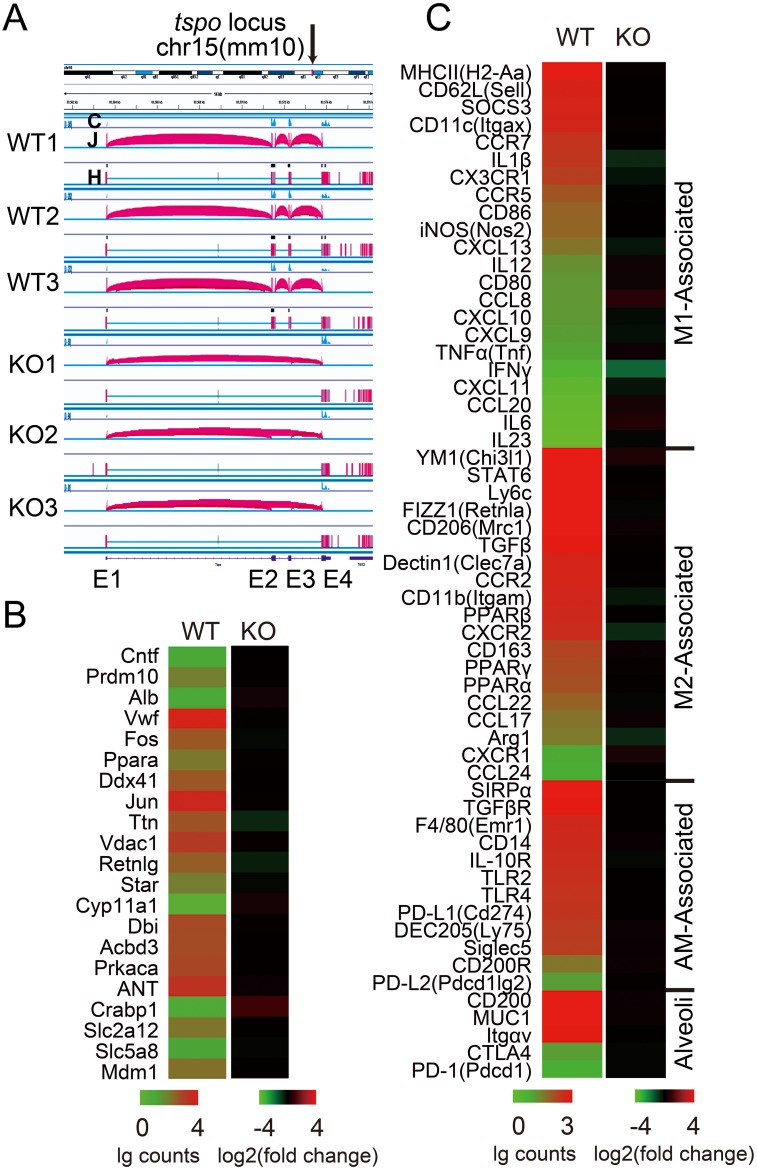 Fig 4