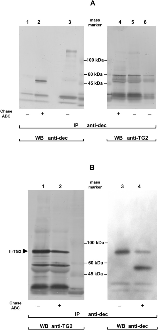 Fig 5