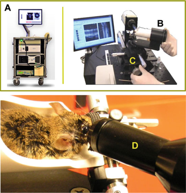 Fig. 3