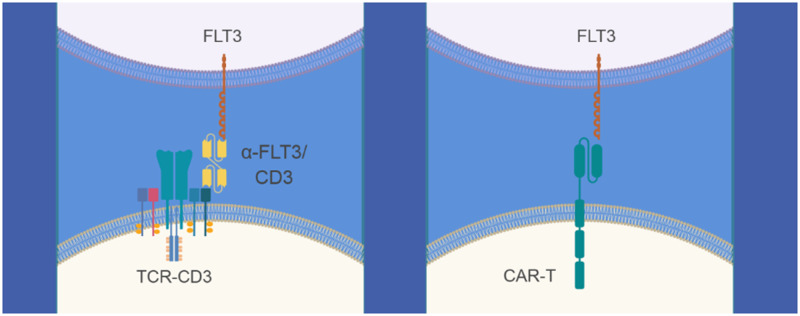 Figure 8.