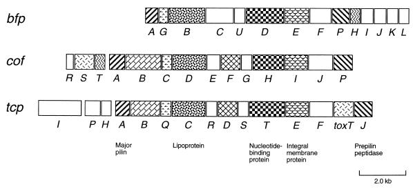 FIG. 6