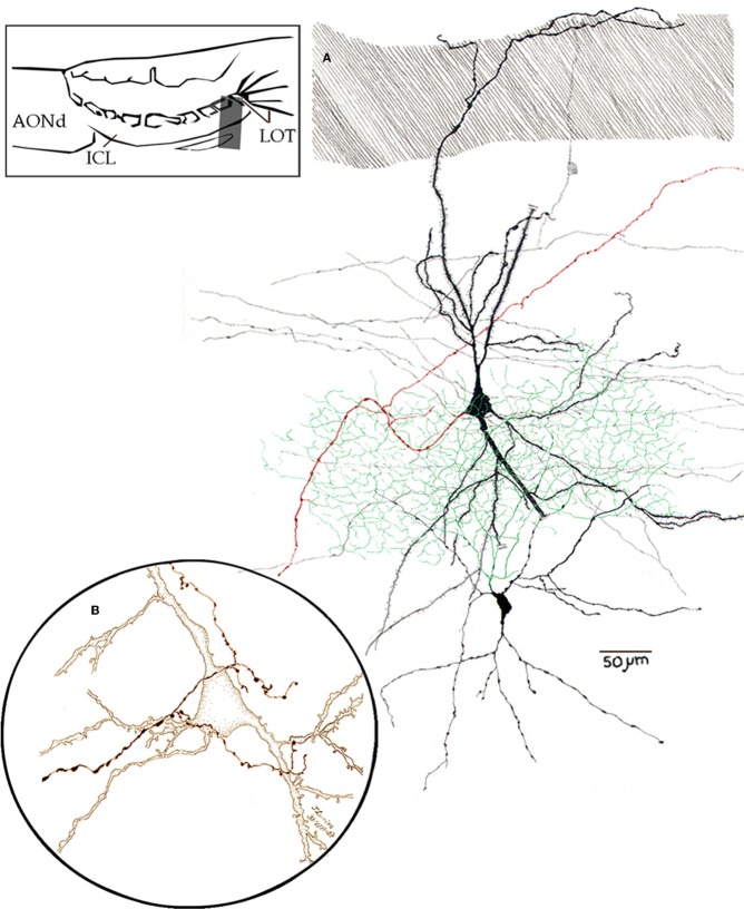 Figure 13