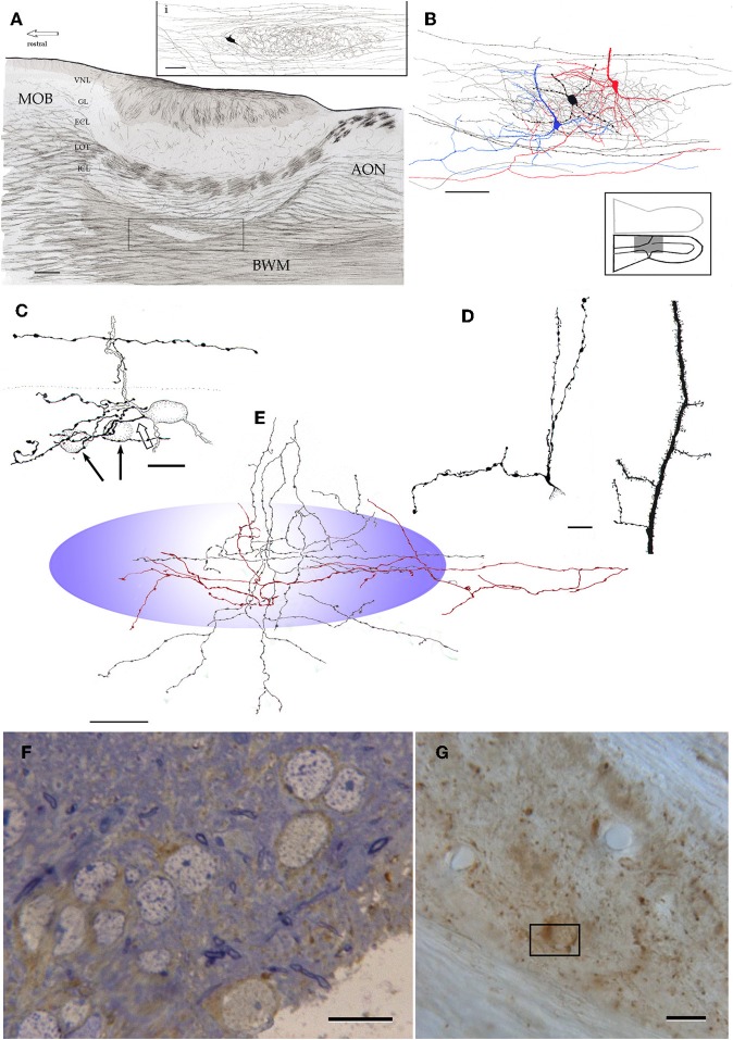 Figure 14