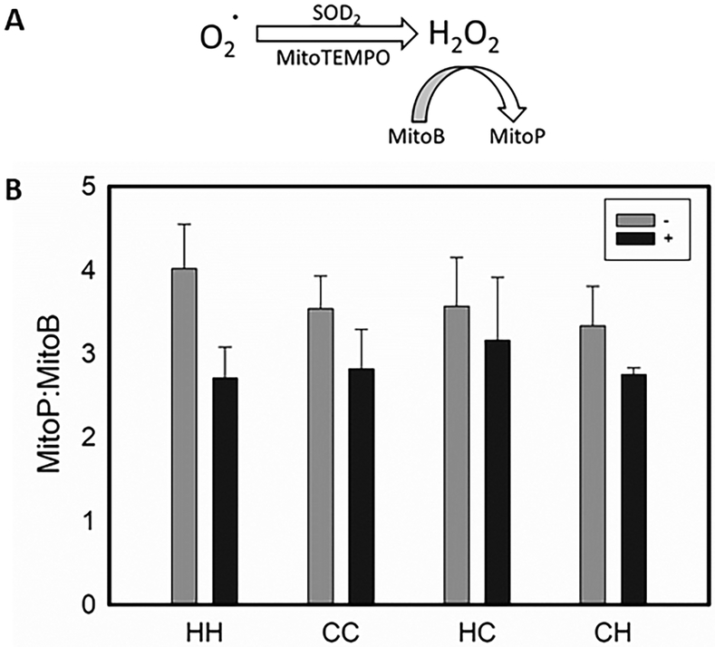 Figure 4: