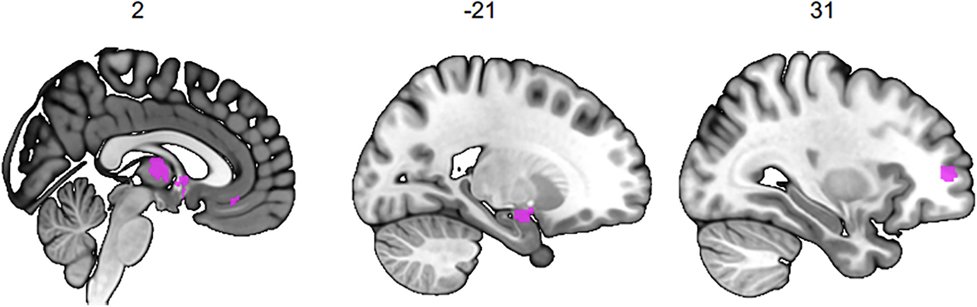 Figure 4 |