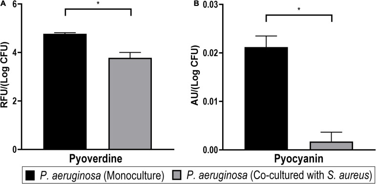 FIGURE 11