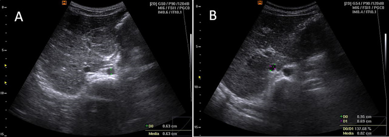 Fig. 1